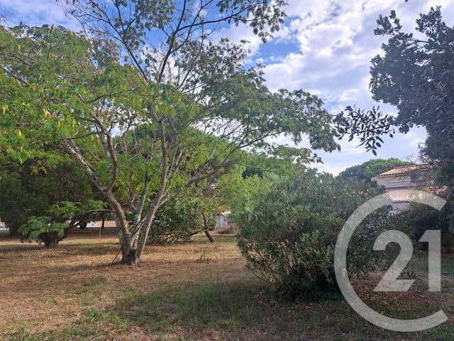 terrain à vendre - 815.0 m2 - ST GEORGES D OLERON - 17 - POITOU-CHARENTES - Century 21 Agence Des Pertuis