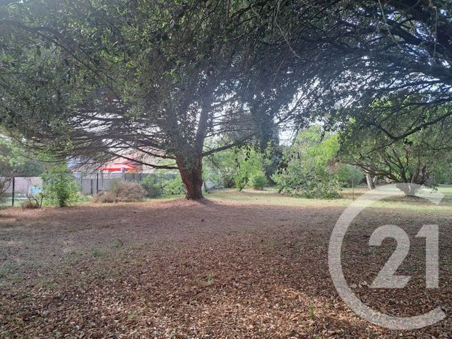 terrain à vendre - 815.0 m2 - ST GEORGES D OLERON - 17 - POITOU-CHARENTES - Century 21 Agence Des Pertuis