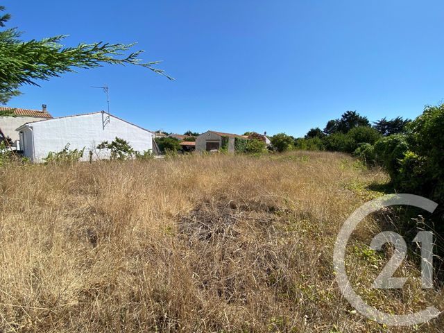 terrain - ST PIERRE D OLERON - 17