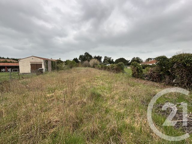 terrain - ST PIERRE D OLERON - 17