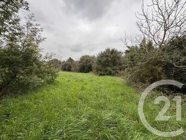 terrain à vendre - 5482.0 m2 - ST PIERRE D OLERON - 17 - POITOU-CHARENTES - Century 21 Agence Des Pertuis