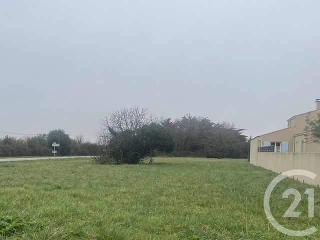 Terrain à vendre DOLUS D OLERON