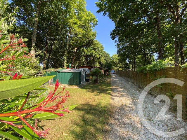 terrain - ST PIERRE D OLERON - 17