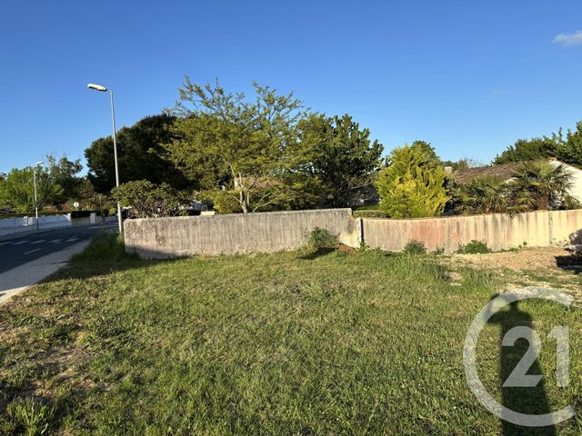 terrain - ST GEORGES D OLERON - 17