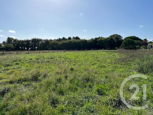 terrain à vendre - 917.0 m2 - ST GEORGES D OLERON - 17 - POITOU-CHARENTES - Century 21 Agence Des Pertuis