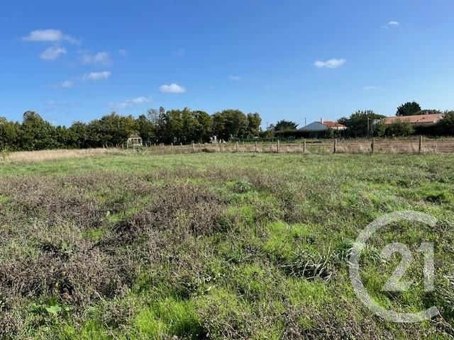 terrain à vendre - 917.0 m2 - ST GEORGES D OLERON - 17 - POITOU-CHARENTES - Century 21 Agence Des Pertuis