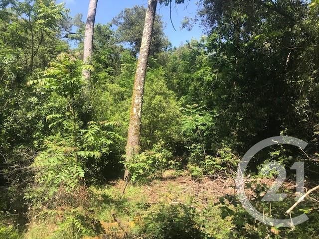 maison à vendre - 5 pièces - 77.67 m2 - ST TROJAN LES BAINS - 17 - POITOU-CHARENTES - Century 21 Agence Des Pertuis