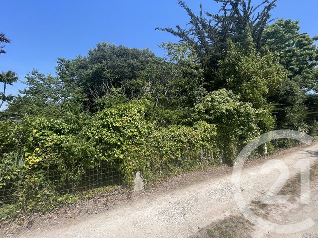 terrain à vendre - 465.0 m2 - ST PIERRE D OLERON - 17 - POITOU-CHARENTES - Century 21 Agence Des Pertuis