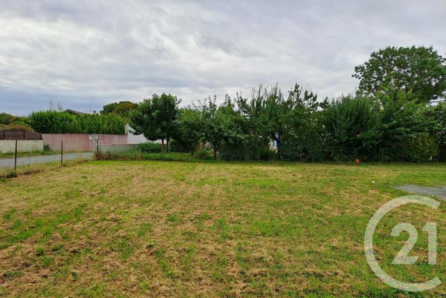 Terrain à vendre ST PIERRE D OLERON