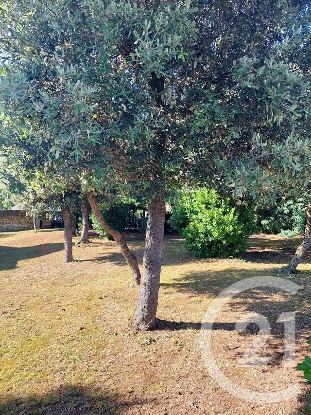 terrain à vendre - 363.0 m2 - ST TROJAN LES BAINS - 17 - POITOU-CHARENTES - Century 21 Agence Des Pertuis
