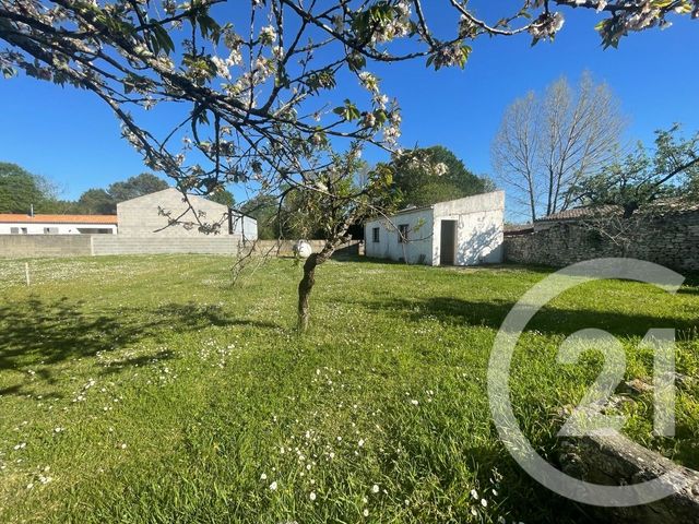 maison à vendre - 3 pièces - 115.54 m2 - DOLUS D OLERON - 17 - POITOU-CHARENTES - Century 21 Agence Des Pertuis
