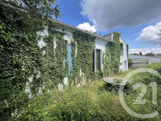 maison - ST PIERRE D OLERON - 17