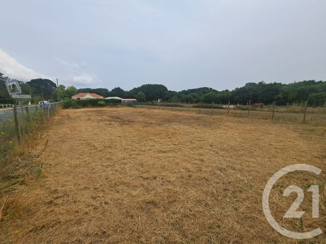 maison à vendre - 3 pièces - 74.28 m2 - DOLUS D OLERON - 17 - POITOU-CHARENTES - Century 21 Agence Des Pertuis