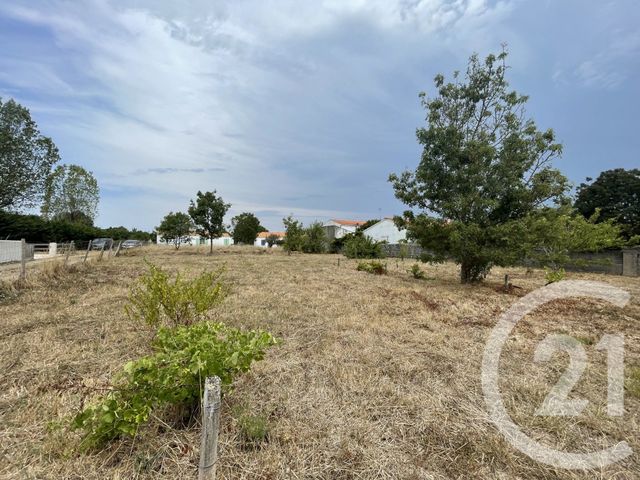 terrain à vendre - 662.0 m2 - ST GEORGES D OLERON - 17 - POITOU-CHARENTES - Century 21 Agence Des Pertuis