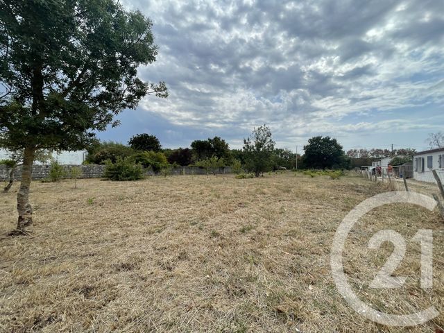 terrain à vendre - 662.0 m2 - ST GEORGES D OLERON - 17 - POITOU-CHARENTES - Century 21 Agence Des Pertuis