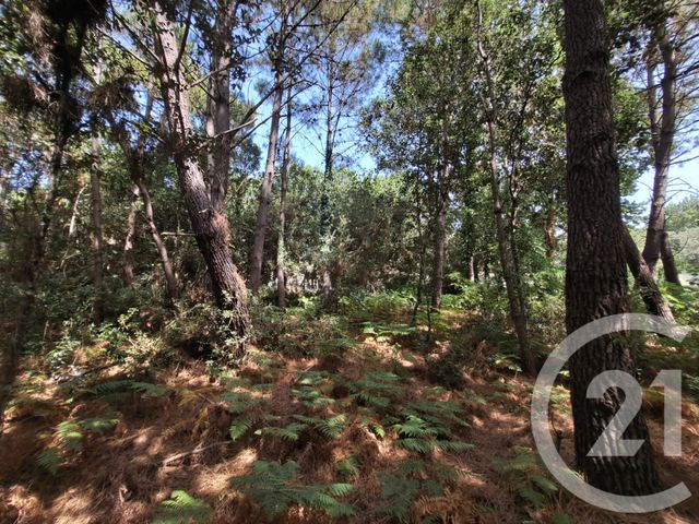 maison à vendre - 5 pièces - 101.93 m2 - DOLUS D OLERON - 17 - POITOU-CHARENTES - Century 21 Agence Des Pertuis